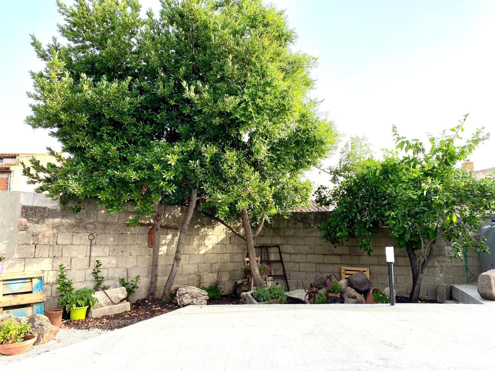 Casa Mora Apartment San Vero Milis Exterior foto
