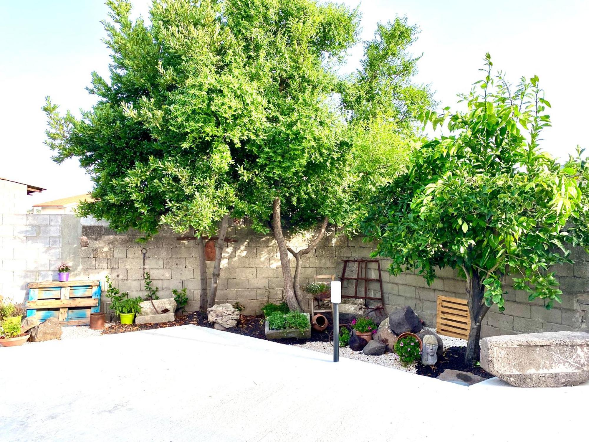 Casa Mora Apartment San Vero Milis Exterior foto